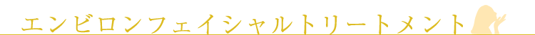 エンビロンフェイシャルトリートメント