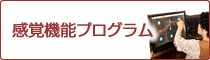 感覚機能プログラム